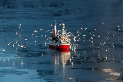 SEGMENT - Fishery, aquaculture and specialist operations